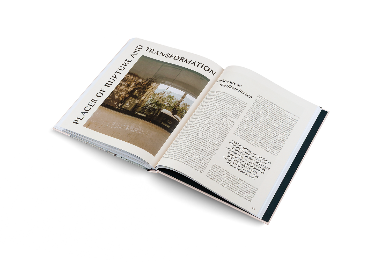 Penthouse Syndrome Book