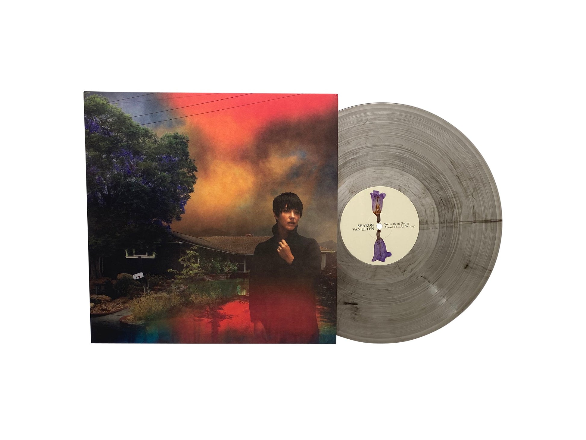 Sharon Van Etten - We've Been Going About This All Wrong (Limited Edition Marbled Smoke Colored Vinyl) Vinyl Record