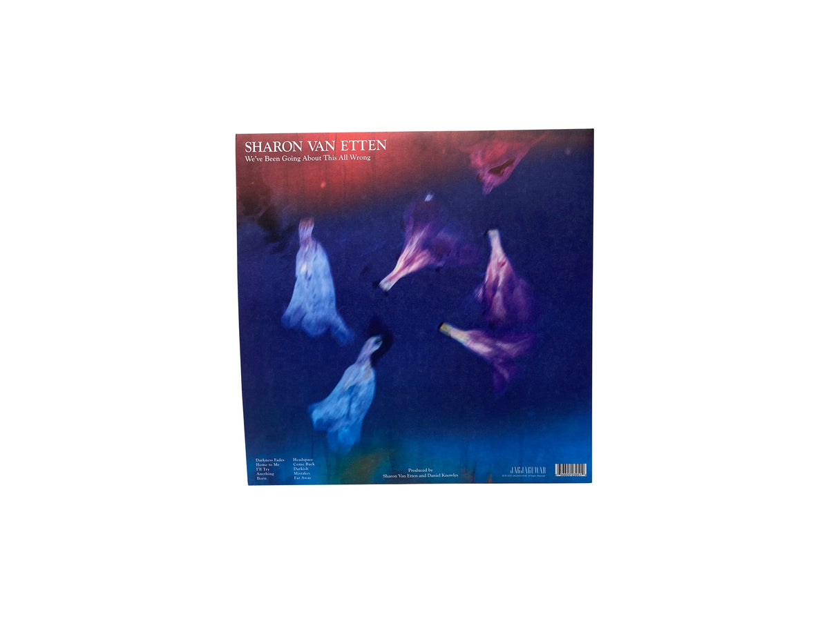 Sharon Van Etten - We've Been Going About This All Wrong (Limited Edition Marbled Smoke Colored Vinyl) Vinyl Record