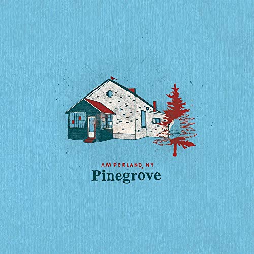 Pinegrove - Amperland, NY [Vinyl] Vinyl Record
