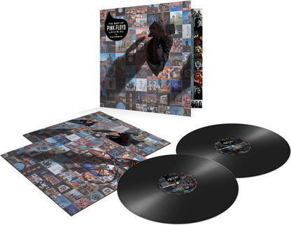 Pink Floyd – The Best of Pink Floyd: A Foot in the Door (2-LP Vinyl) Vinyl Record