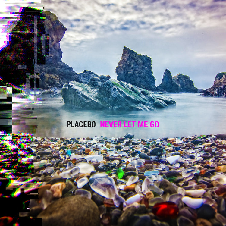 Never Let Me Go [Vinyl] Vinyl Record