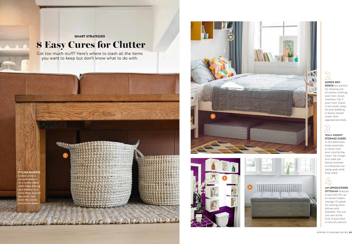 Spring Cleaning Guide - 287 Smart Tips & Tricks, Speed-Cleaning Hacks, Supplies, Stubborn Stains, Pet Messes, Clutter Cures, Storage, Germ Hot Spots, Fresh Scents, Outdoors, DIY Safe Cleaner & More!