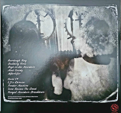 JD Pinkus (Butthole Surfers) + Tall Tall Trees – Ponder Machine (Clear Color Vinyl) LP Record