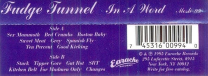 FUDGE TUNNEL - In A Word MC Cassette Tape