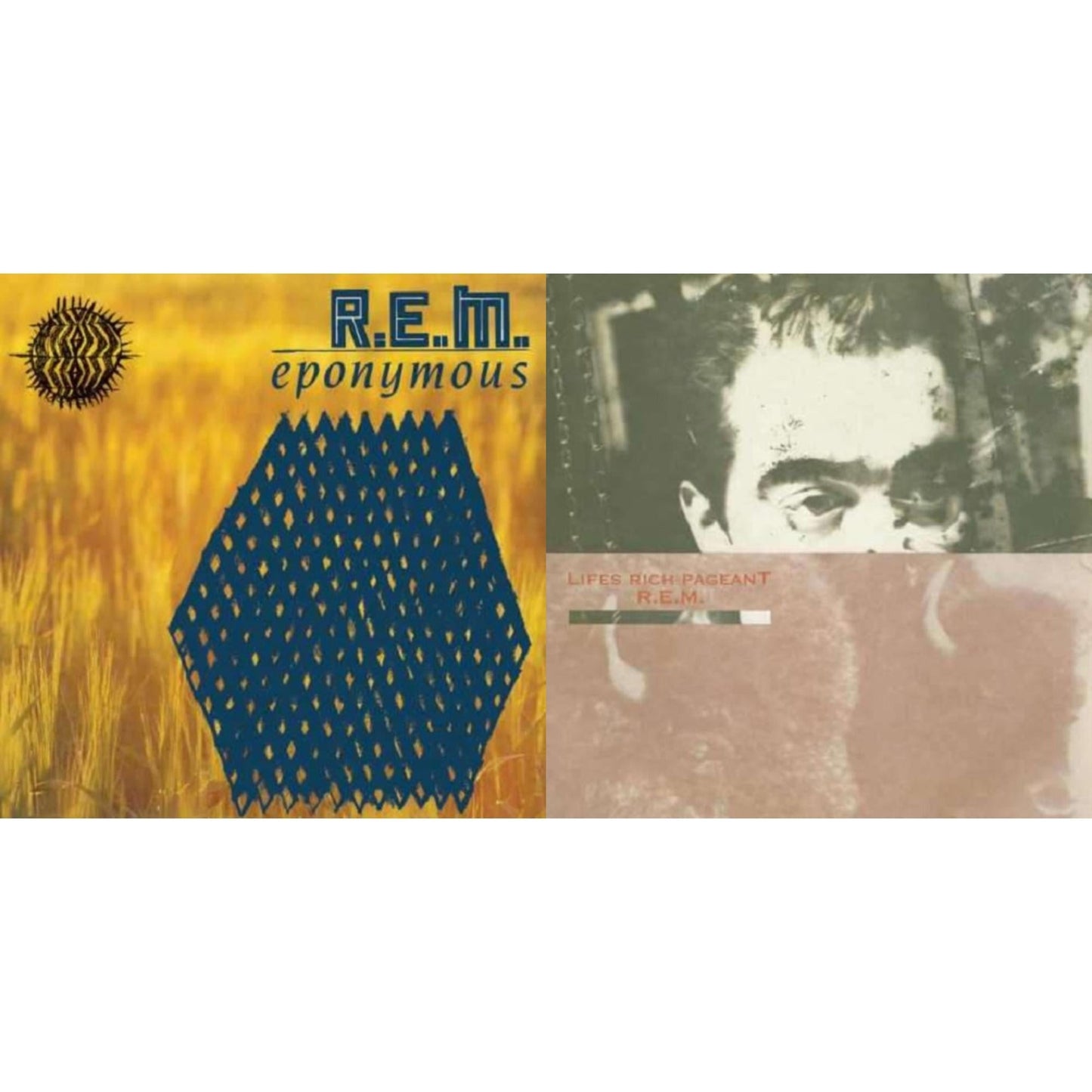 R.E.M. - Lifes Rich Pageant & Eponymous - LP Vinyl Bundle