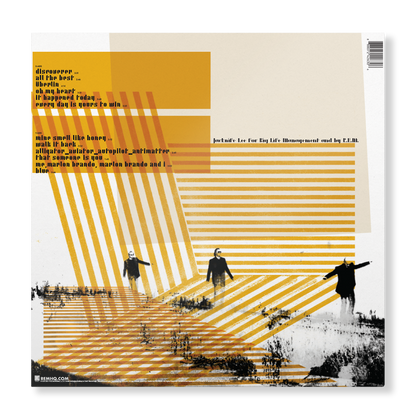 Collapse Into Now (LP) Vinyl Record
