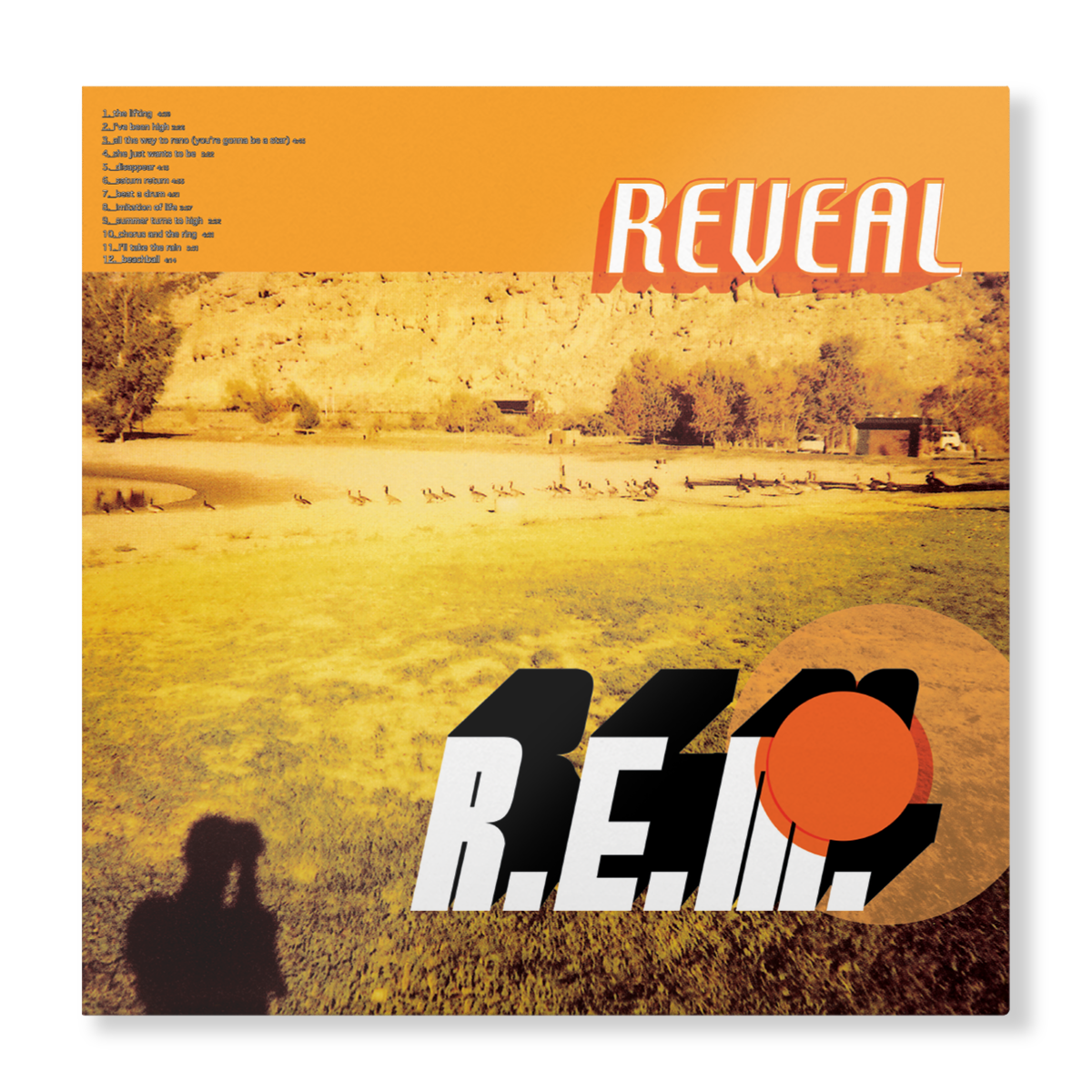 Reveal (Black LP) Vinyl Record