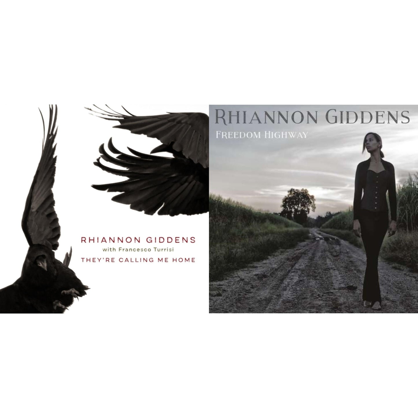 Rhiannon Giddens - They're Calling Me Home & Freedom Highway - CD Bundle