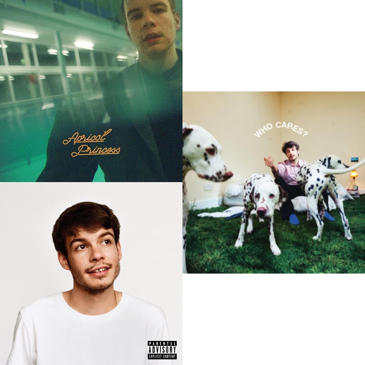 Rex Orange County - Pony (X) (140G/Dl Insert) & Who Cares? (X) (150G) & Apricot Princess - LP Vinyl Bundle