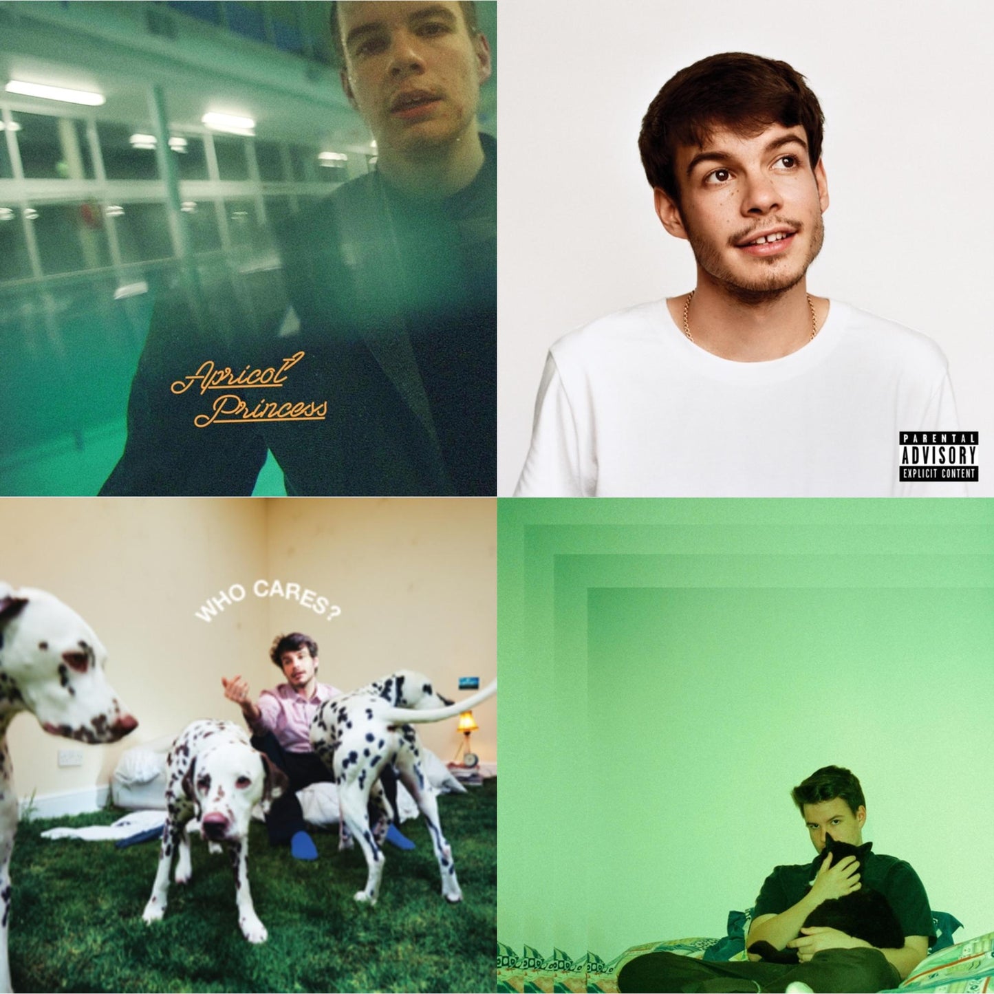 Rex Orange County - Pony (X) (140G/Dl Insert) & Who Cares? (X) (150G) & Apricot Princess & Bcos U Will Never B Free - LP Vinyl Bundle