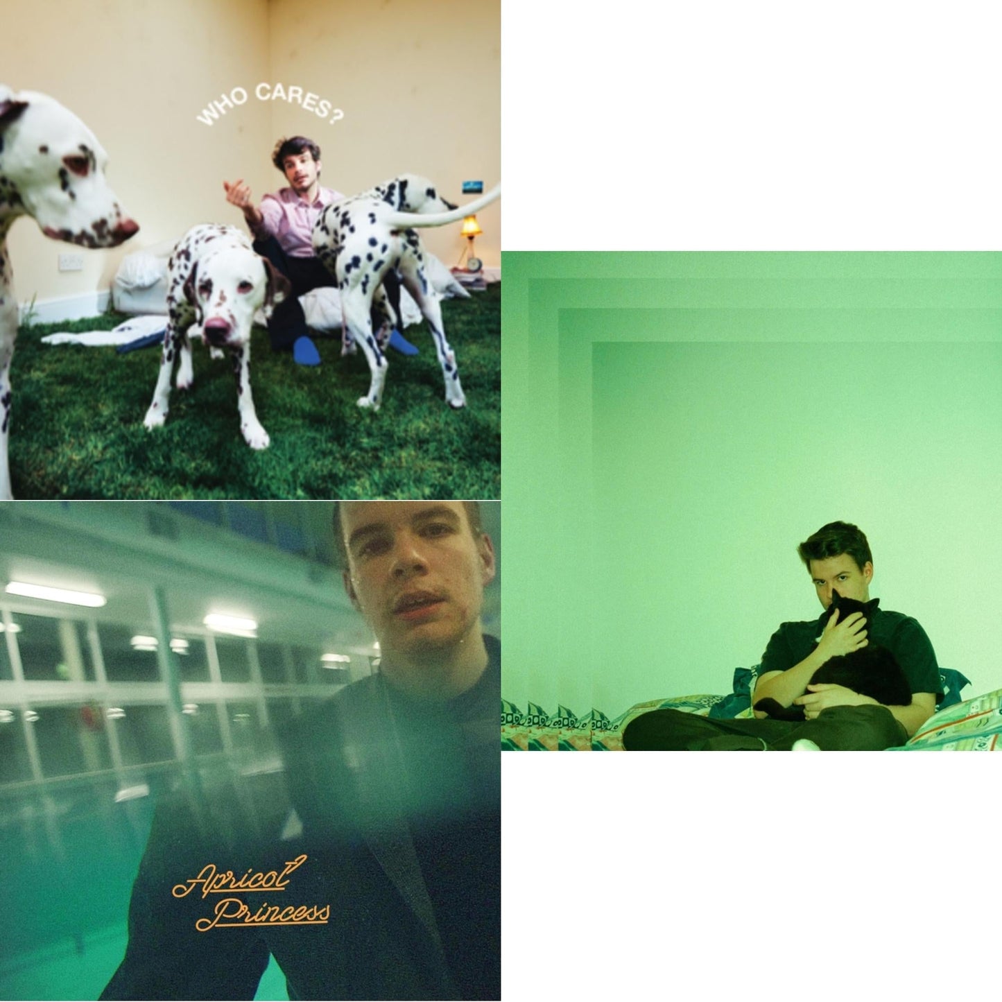Rex Orange County - Who Cares? (X) (150G) & Apricot Princess & Bcos U Will Never B Free - LP Vinyl Bundle