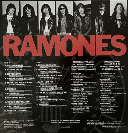 Ramones – Greatest Hits (LP Vinyl) Vinyl Record
