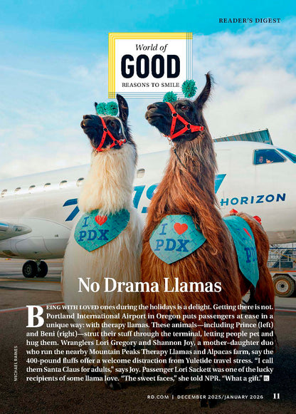 Reader's Digest - Holiday Magic: Highway Tree Decorator, Christmas Miracles, A Stranger Saves Christmas, Surprise Hanukkah Baby, Festive Decor Ideas, Seasonal Wellness Advice, Festive DIYs & More!