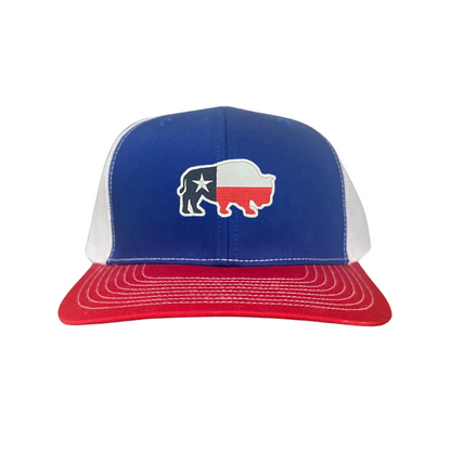 Last Stand / Bison Texas Flag / 050 / MM Hat