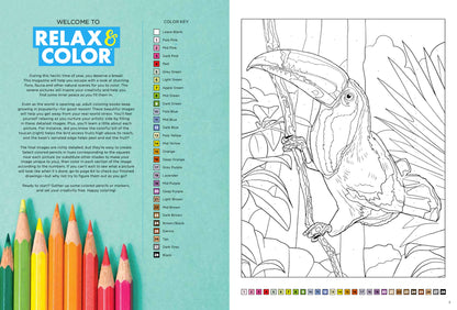 Relax and Color - Beautiful and Inspiring Coloring Book: Relax and Get Away From Stress with 32 Intricate Amazing Designs