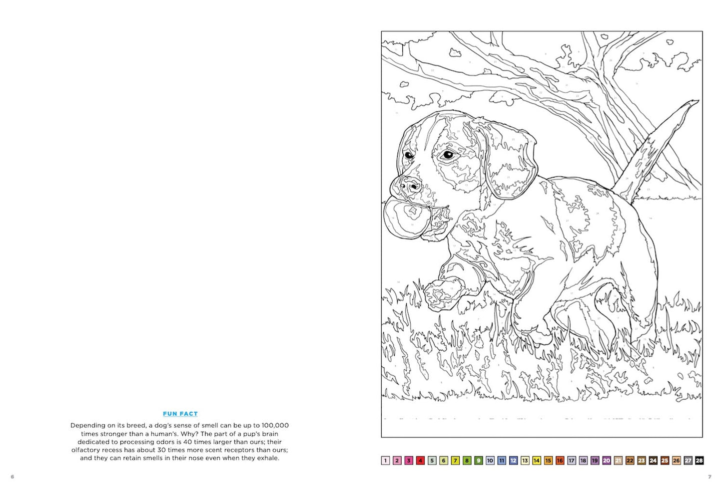 Relax and Color - Beautiful and Inspiring Coloring Book: Relax and Get Away From Stress with 32 Intricate Amazing Designs