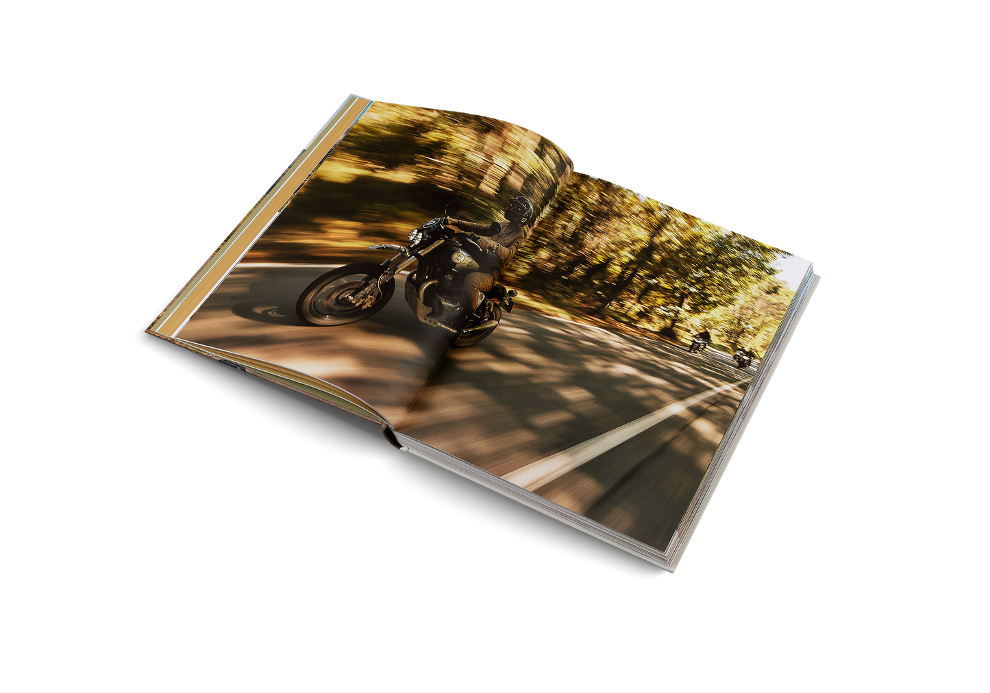 Riding In The Wild Book