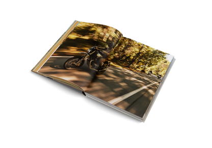 Riding In The Wild Book