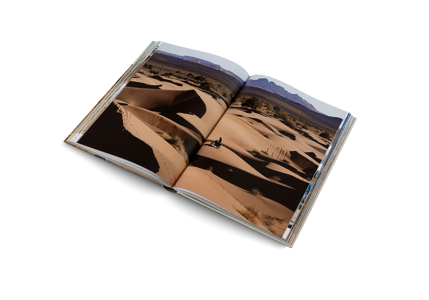 Riding In The Wild Book