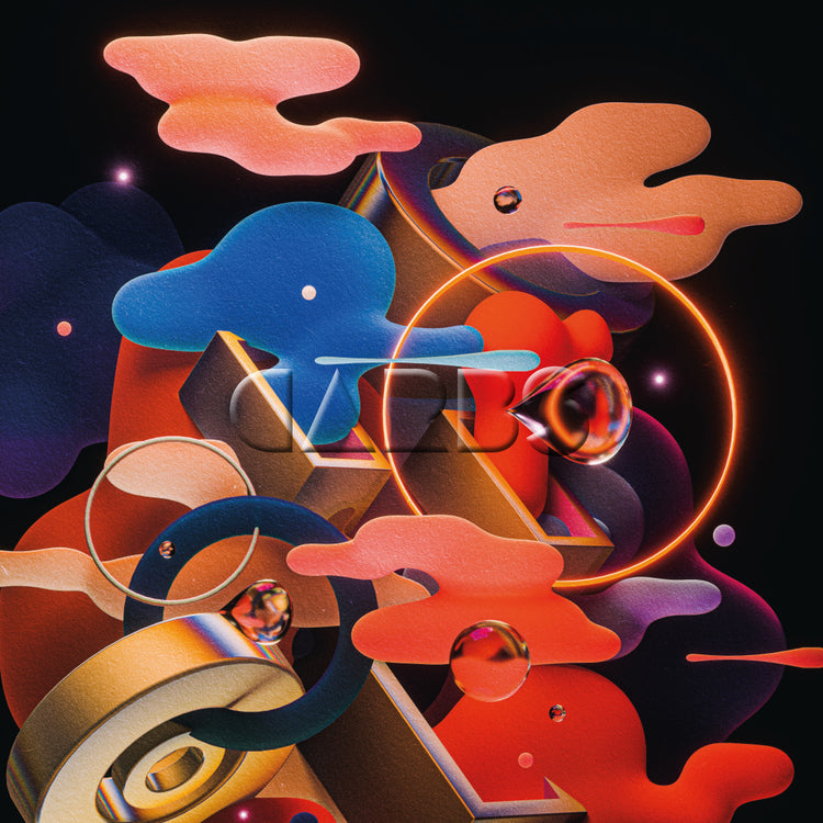 CARBS Vinyl Record