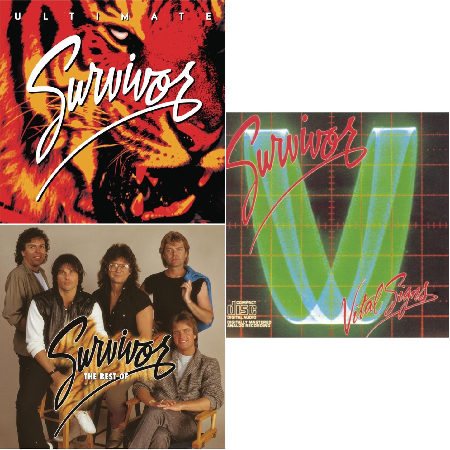 Survivor - Ultimate Survivor & Best Of Survivor & Vital Signs - CD Bundle