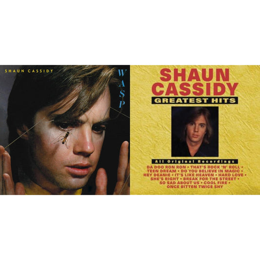Shaun Cassidy - Greatest Hits & Wasp - LP Vinyl Bundle
