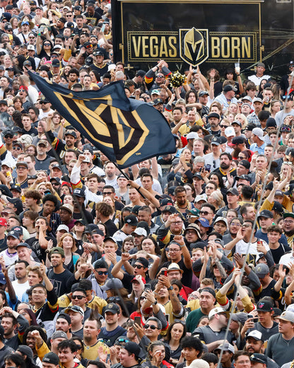 GOLDEN! The Story of the Vegas Golden Knights’ Stanley Cup Season Book