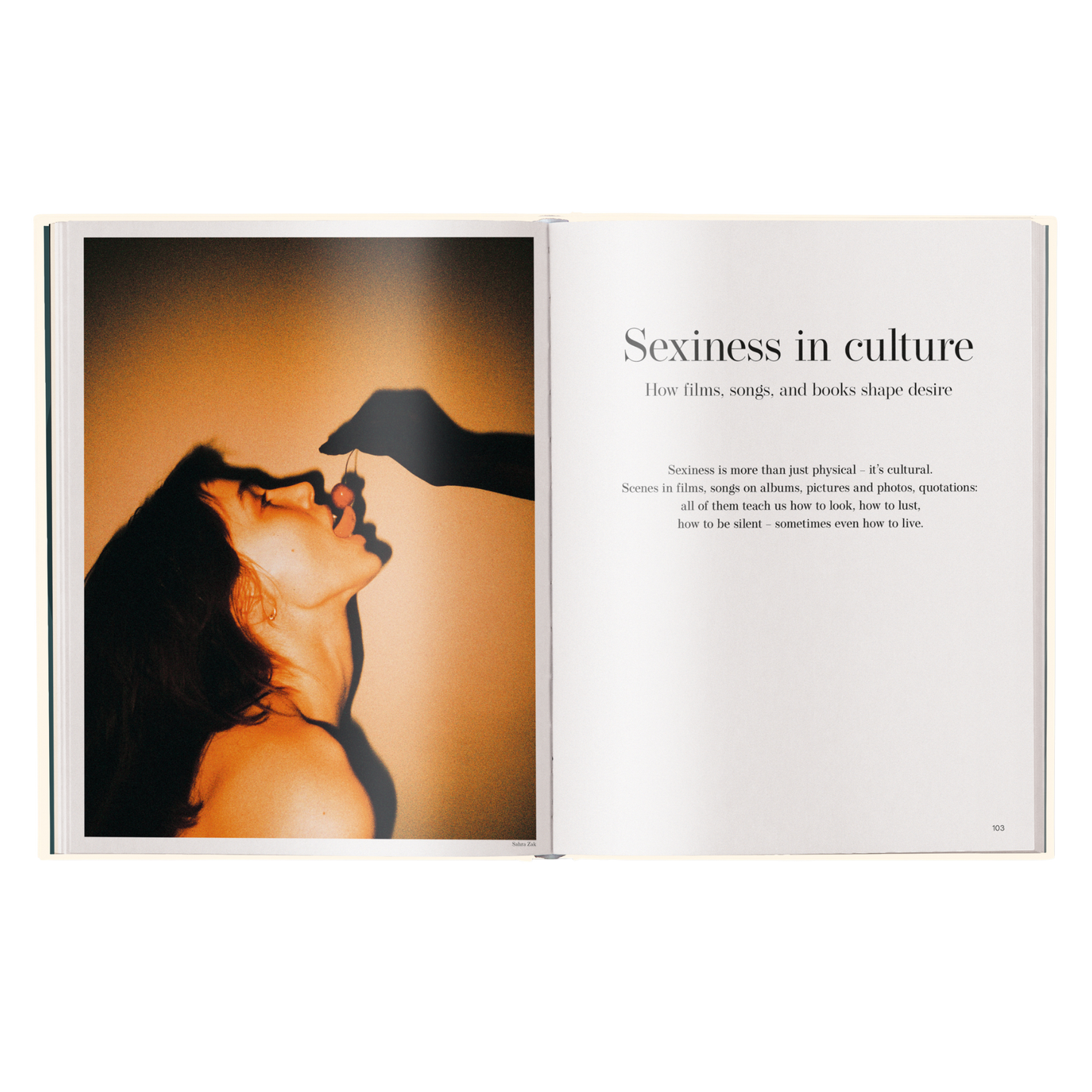 Sexiness Book