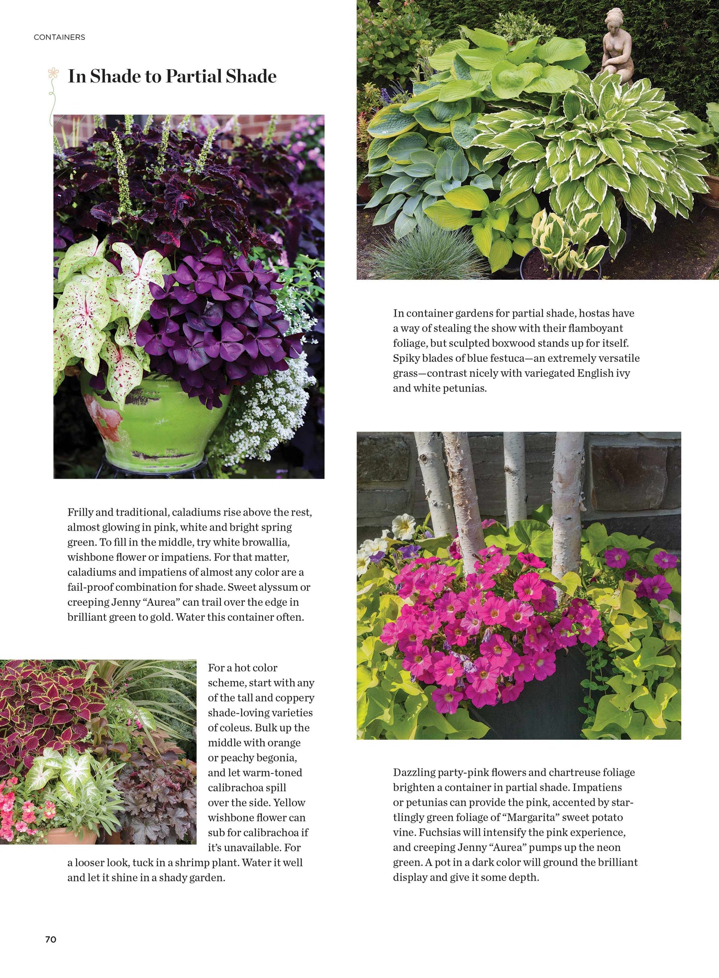 Spring Gardening - Indoor & Outdoor Gardens, Testing Soil, Planting, Watering, Tools, Shade, Pollinator, Containers, Cutting, Harvest, Tomatoes, Herbs, Raised Beds, Landscaping, Interior Design & More
