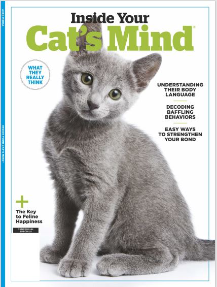Cats - Inside Their Mind: Understand Their Body Language Decoding Baffling Behaviors Easy Ways to Strengthen Your Bond