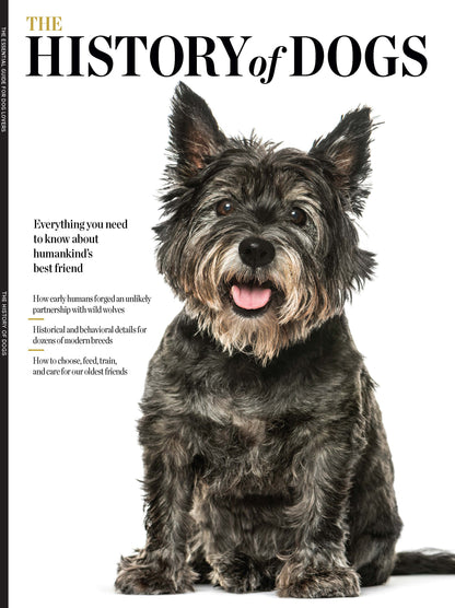 History of Dogs - Why Dogs Think, Look & Act The Way They Do. Learn Tips & Tricks On How To Train, Feed & Care For Your Four-Legged Friends (Cover Varies)