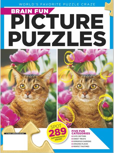 Brain Fun - Picture Puzzle: Spot the Difference! Can You Find All 289 Differences? Five Categories Cute Critters, Sweet Treats, Gorgeous Gardens, Amazing Places, Perfect Pastimes