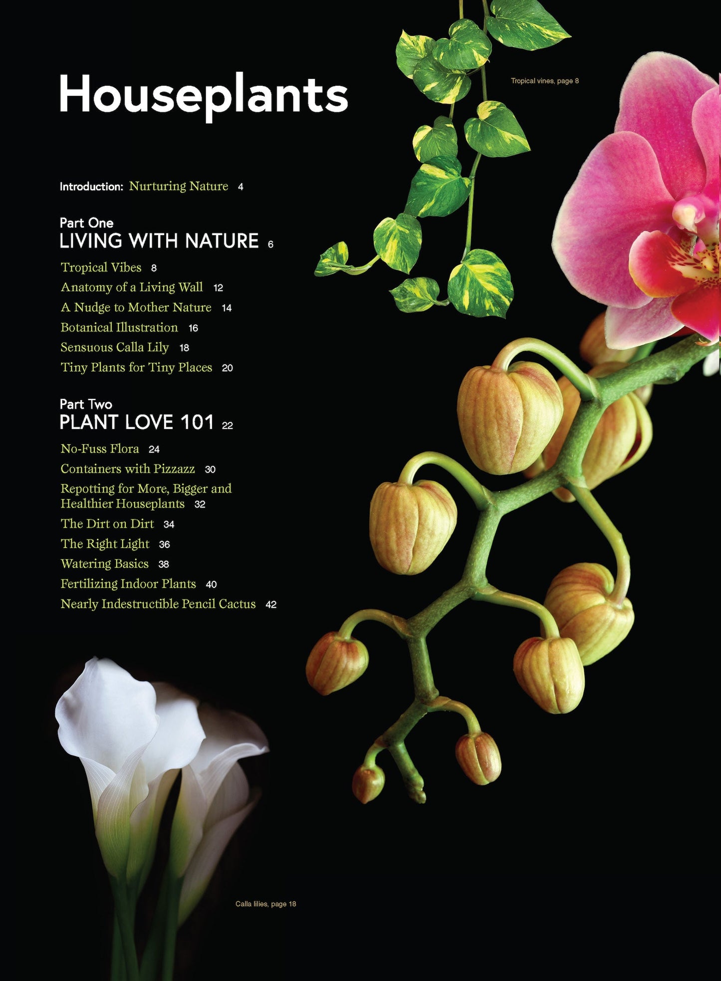 Houseplants - Easy To Care For Varieties: Gardening Guide, Plant Care, Fertilizer, Tools, Pots, Advice On Succulents, Fig Trees, Monstera Plant, Orchids, Grow Citrus Indoors, Greenhouse & Living Walls