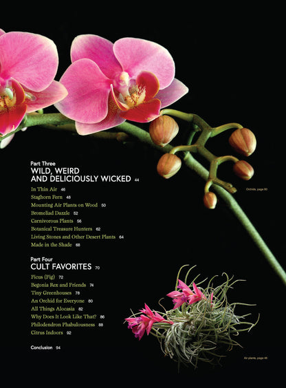 Houseplants - Easy To Care For Varieties: Gardening Guide, Plant Care, Fertilizer, Tools, Pots, Advice On Succulents, Fig Trees, Monstera Plant, Orchids, Grow Citrus Indoors, Greenhouse & Living Walls