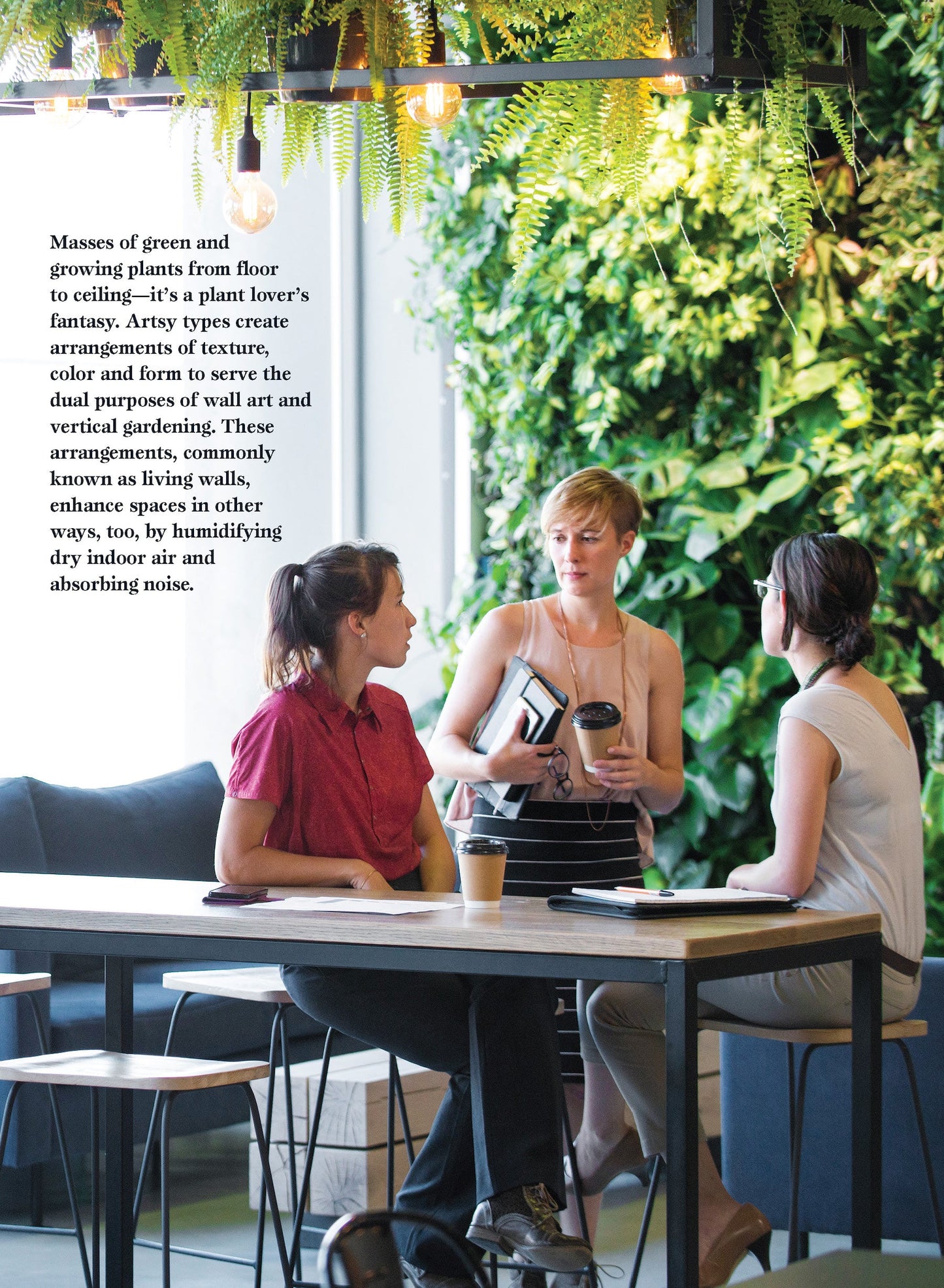 Houseplants - Easy To Care For Varieties: Gardening Guide, Plant Care, Fertilizer, Tools, Pots, Advice On Succulents, Fig Trees, Monstera Plant, Orchids, Grow Citrus Indoors, Greenhouse & Living Walls