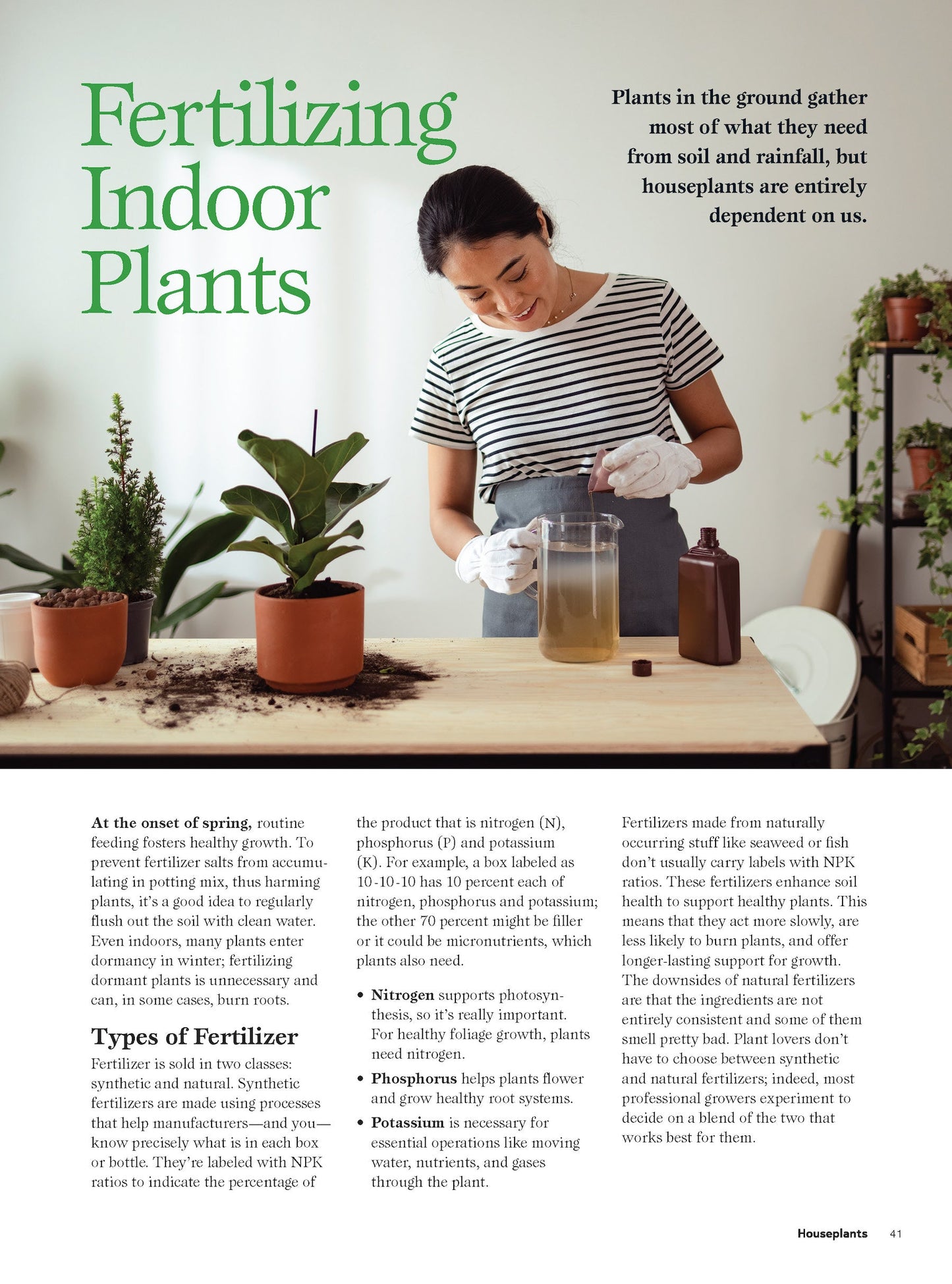 Houseplants - Easy To Care For Varieties: Gardening Guide, Plant Care, Fertilizer, Tools, Pots, Advice On Succulents, Fig Trees, Monstera Plant, Orchids, Grow Citrus Indoors, Greenhouse & Living Walls