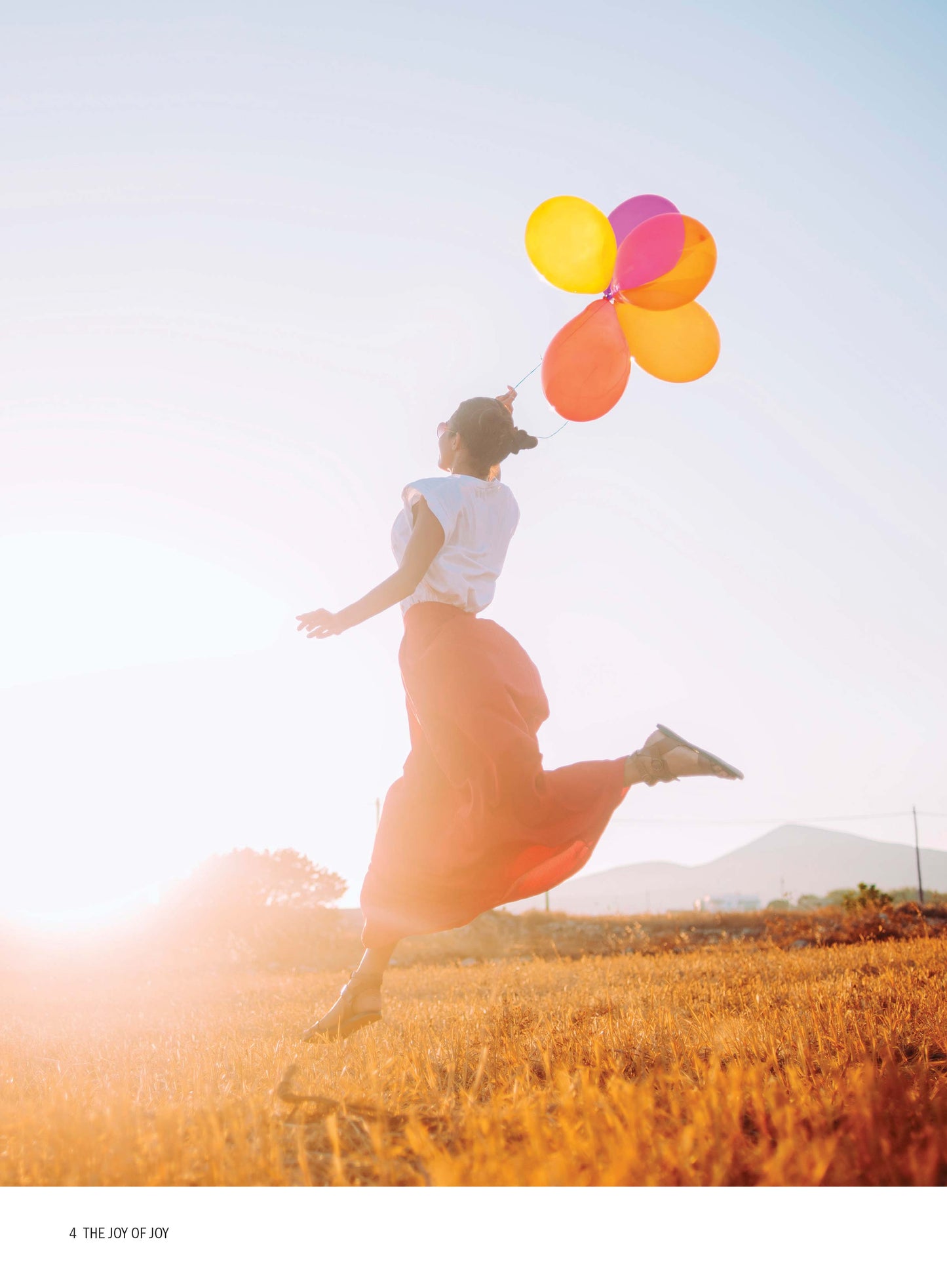 Finding Joy - Expert Toolkit For Holistic Change: Science-Backed Happiness Solutions, Build Habits, Improve Negativity, Diet, Exercise Mental Health, Depression, Mindfulness & Journaling Techniques!