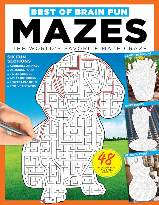 Brain Fun - Mazes: 48 Puzzles For All Skill Levels, Six Sections: Colorful Creatures, Tasty Treats, Soothing Sights, Cruise Control, Great Escapes, Magic Media