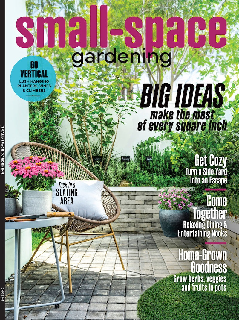 Small Space Gardening - Make The Most Of Every Square Inch, Vertical Hanging Planters, Vines, Climbers, Nooks, Seating Area, Window Boxes, Potting Lessons, Watering, Grow Herbs, Veggies, Fruits & More