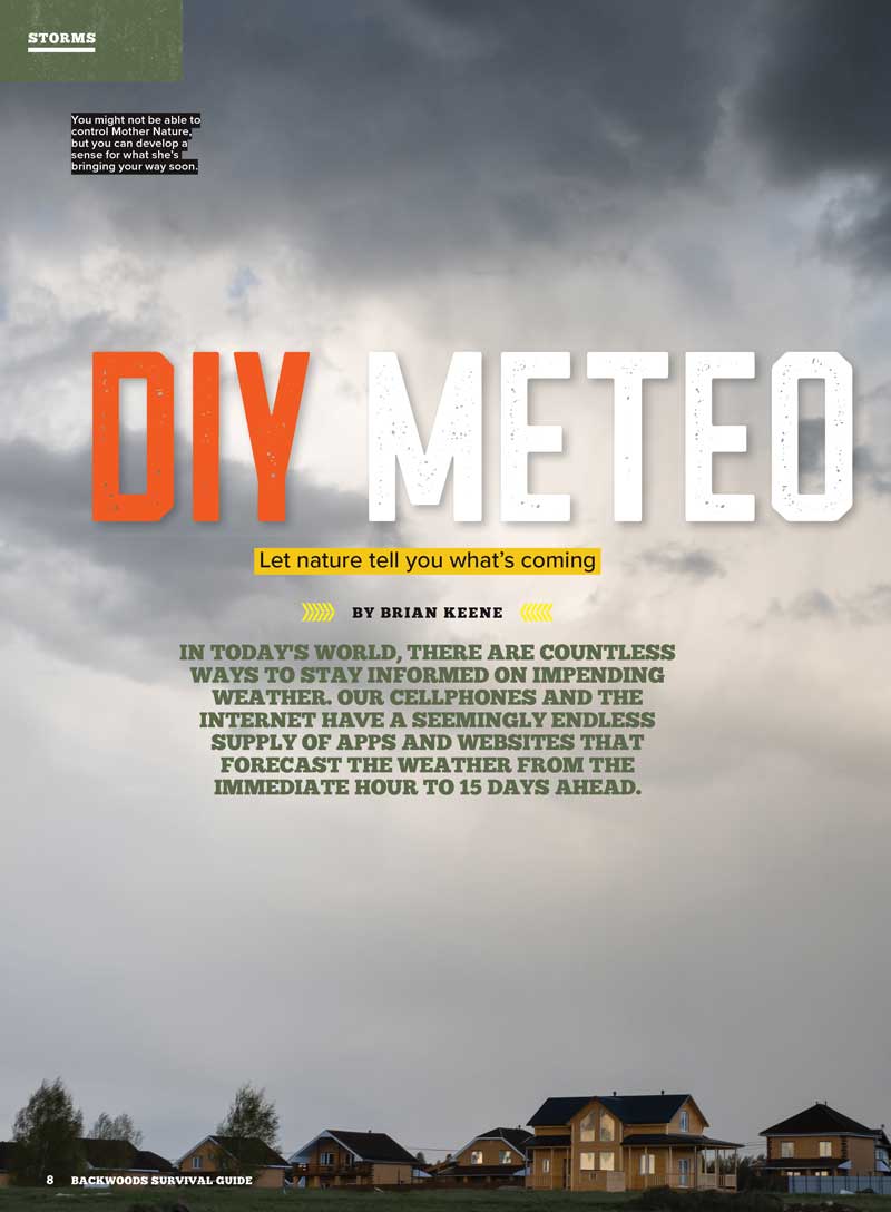 Backwoods Survival Guide - Living Off The Land No. 27: 200+ Essential Tips, Making Bandages, Medicinal Plants, Fish Trapping, Outdoor Cooking, Weather Predictions, Protecting Pets, Knife & Gear Review