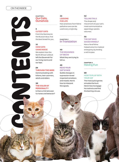 Inside Your Cat's Mind - Reading Cat's Face, Decoding Tails, Whiskers, Blinks, Meow Meaning, How To Play, Sleeping, Catnip, Training, Intelligence Test, Senses & Is Fur Color Linked To Personality?