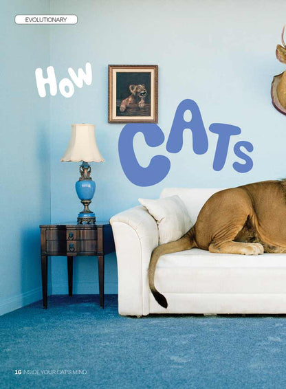 Inside Your Cat's Mind - Reading Cat's Face, Decoding Tails, Whiskers, Blinks, Meow Meaning, How To Play, Sleeping, Catnip, Training, Intelligence Test, Senses & Is Fur Color Linked To Personality?
