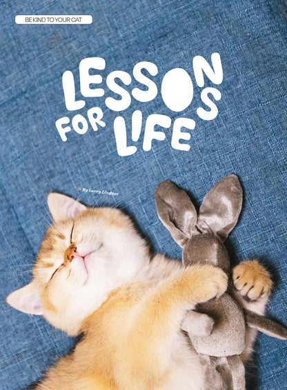 Inside Your Cat's Mind - Reading Cat's Face, Decoding Tails, Whiskers, Blinks, Meow Meaning, How To Play, Sleeping, Catnip, Training, Intelligence Test, Senses & Is Fur Color Linked To Personality?