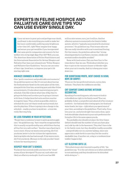 Inside Your Cat's Mind - Reading Cat's Face, Decoding Tails, Whiskers, Blinks, Meow Meaning, How To Play, Sleeping, Catnip, Training, Intelligence Test, Senses & Is Fur Color Linked To Personality?