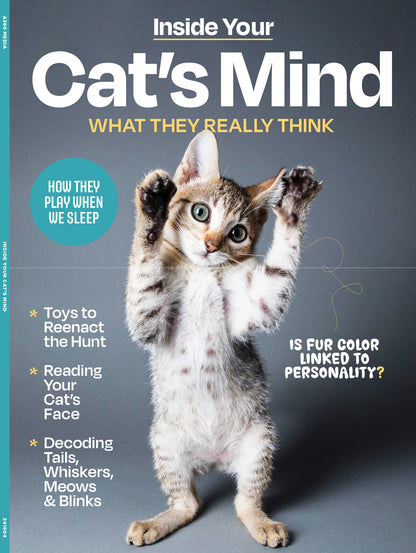 Inside Your Cat's Mind - Reading Cat's Face, Decoding Tails, Whiskers, Blinks, Meow Meaning, How To Play, Sleeping, Catnip, Training, Intelligence Test, Senses & Is Fur Color Linked To Personality?