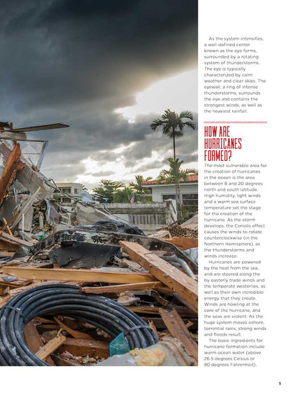 Prepper - Natural Disasters Survival Guide 2024 Edition: Hurricanes, Tornadoes, Heat Waves, Floods, Wildfires, Generators, Demolition & Repair, Stock Supplies, Planning Ahead, Hazards & More!