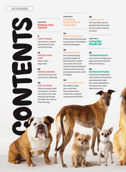 Inside Your Dog's Mind - What They Really Think: Right Way To Touch Them, Bark Meaning, Why Dogs Feel Your Pain, Guide To Pet Insurance, Sniffing Walk, Microadventures, Bonding, Health Span & More!