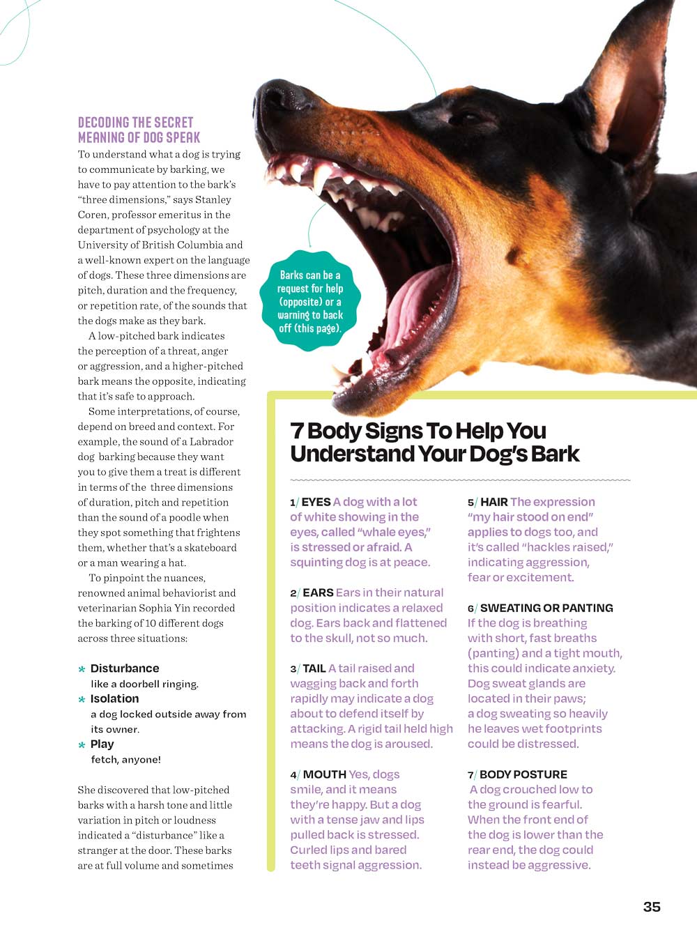 Inside Your Dog's Mind - What They Really Think: Right Way To Touch Them, Bark Meaning, Why Dogs Feel Your Pain, Guide To Pet Insurance, Sniffing Walk, Microadventures, Bonding, Health Span & More!