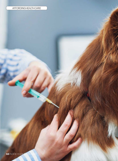 Inside Your Dog's Mind - What They Really Think: Right Way To Touch Them, Bark Meaning, Why Dogs Feel Your Pain, Guide To Pet Insurance, Sniffing Walk, Microadventures, Bonding, Health Span & More!